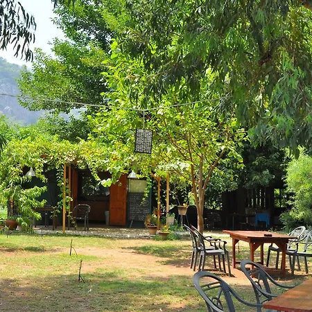 Гостевой дом Hobbit Evi *