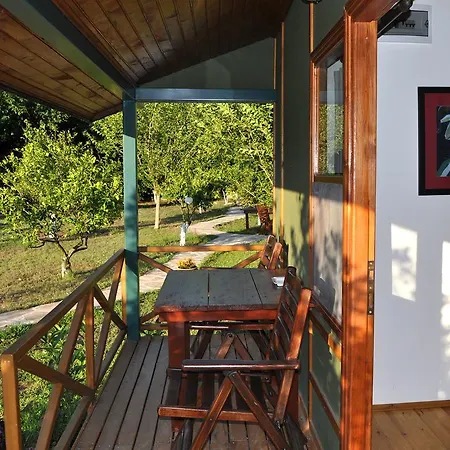 Hobbit Evi * Чирали